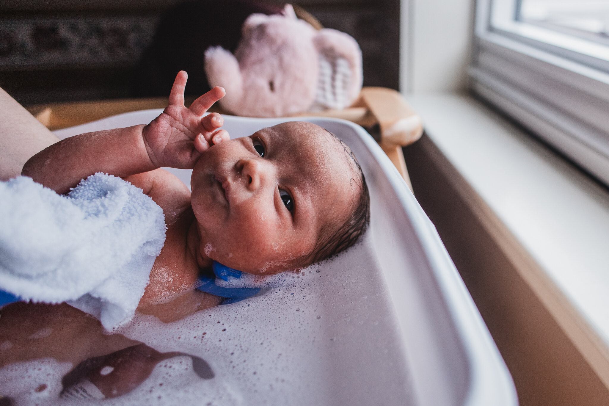 baby in bath at a fresh 48