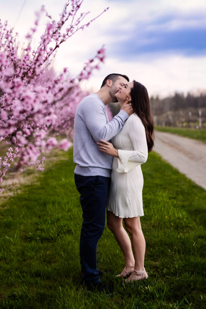 Guy kissing the neck of women in front of  blooming apple trees in the spring during New Hampshire cloudy photo session at Alyson Orchard by Keene NH