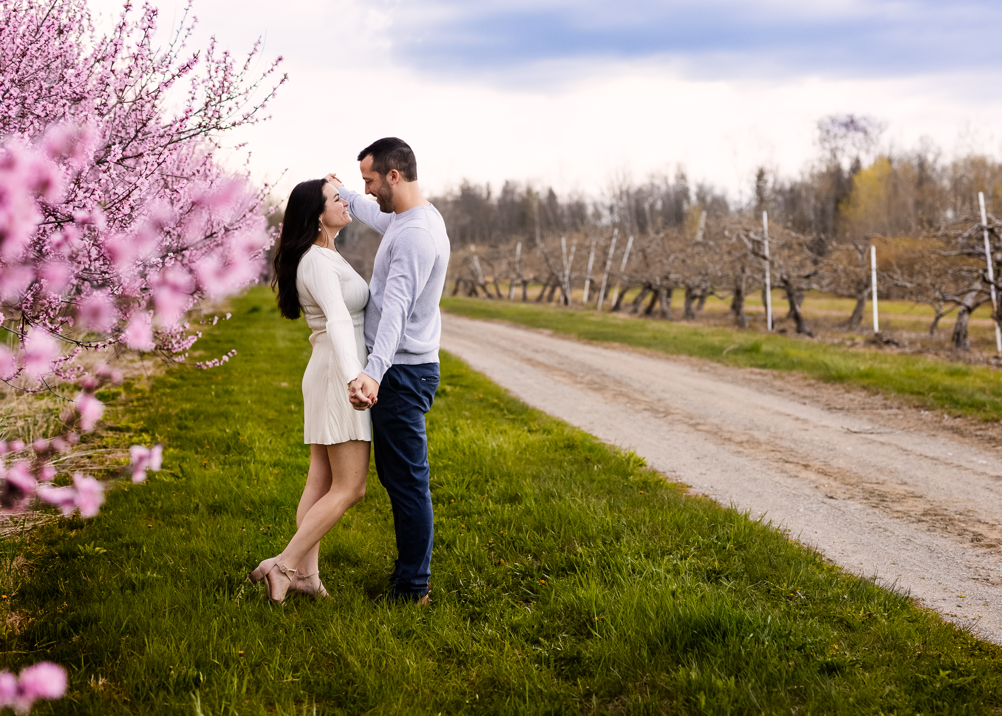 Couple embracing in front of tree with pink blossoms at Alysons Orchard during New Hampshire Cloudy Day Photo Sessions